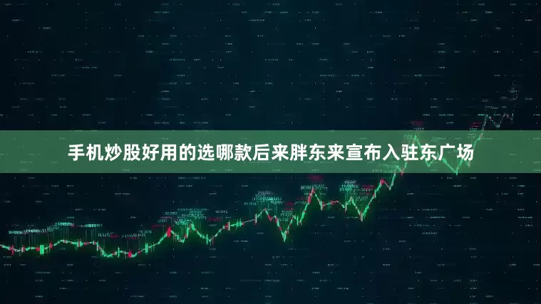 手机炒股好用的选哪款后来胖东来宣布入驻东广场