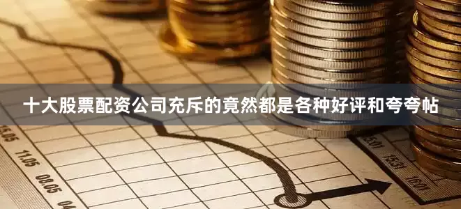 十大股票配资公司充斥的竟然都是各种好评和夸夸帖