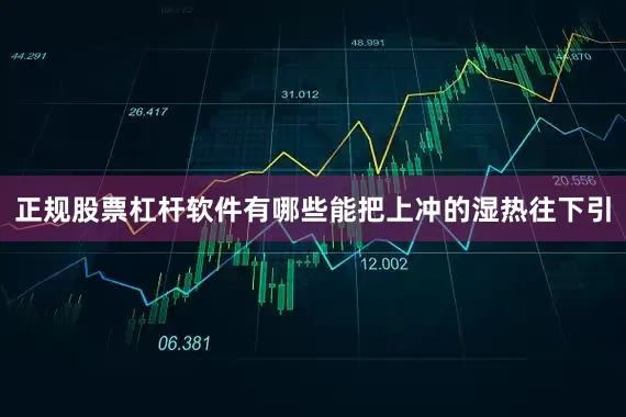 正规股票杠杆软件有哪些能把上冲的湿热往下引