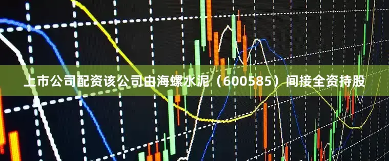 上市公司配资该公司由海螺水泥（600585）间接全资持股