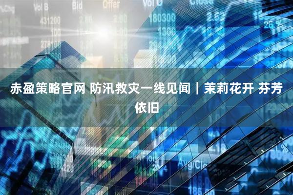 赤盈策略官网 防汛救灾一线见闻｜茉莉花开 芬芳依旧